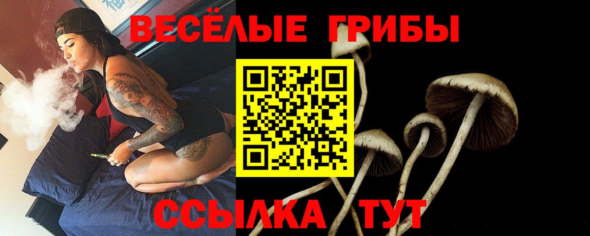Галлюциногенные грибы Psilocybe Жуковский