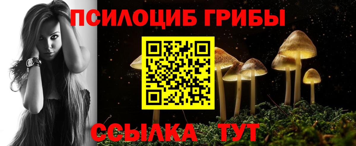 даркнет сайт  Псилоцибиновые грибы мицелий  Псилоцибиновые грибы ЛСД  Вход с VPN  Жуковский 